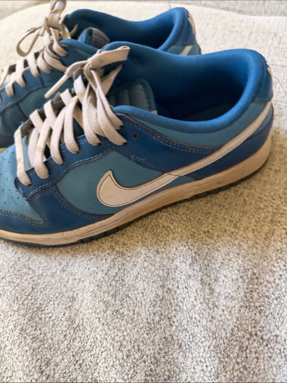 Nike Blue Low-Top Sneakers
